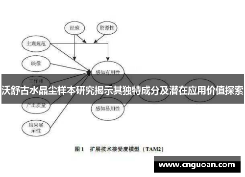 沃舒古水晶尘样本研究揭示其独特成分及潜在应用价值探索